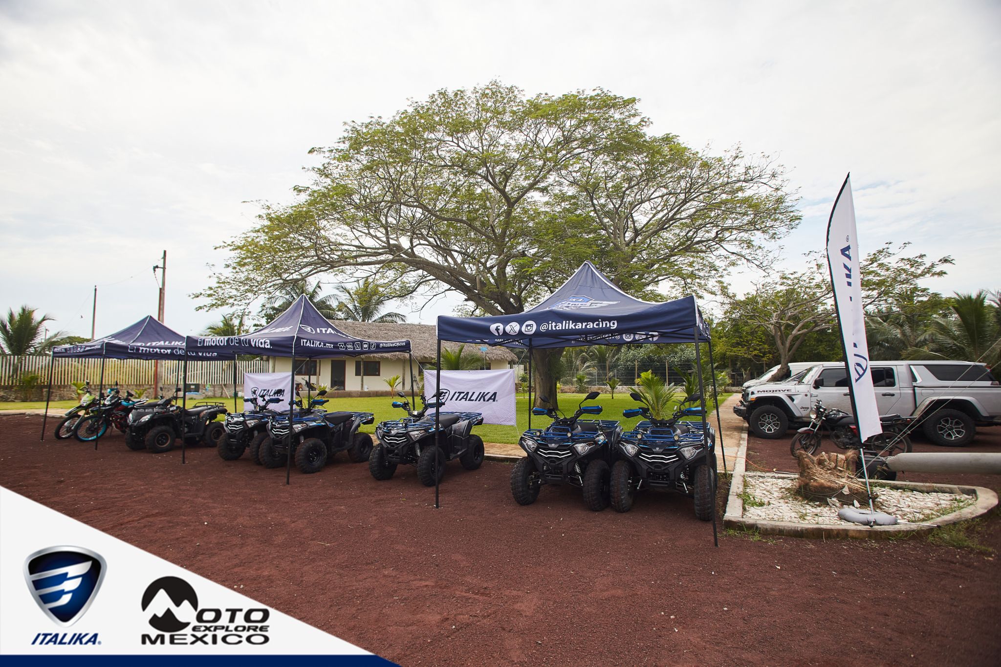 ITALIKA CHACHALACAS D1 36